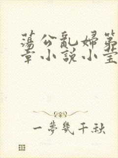 荡公乱妇第51章小说小莹