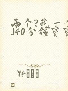 两个?我一个BJ40分钟宝宝