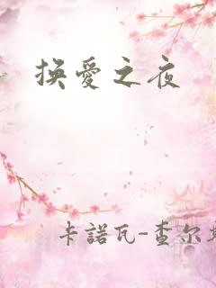换爱之夜