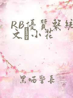 RB优质系统全文寀小花