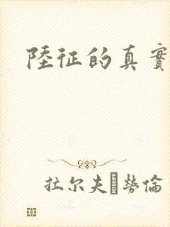 陆征的真实身份