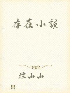 存在小说