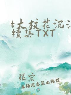 t大校花沉浮录续集TXT