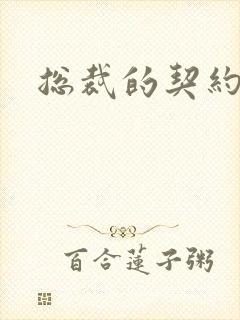 总裁的契约情人