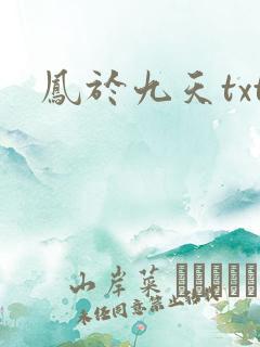 凤于九天txt