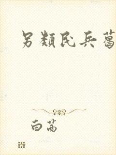 另类民兵葛二蛋