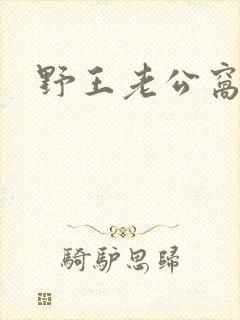 野王老公窝