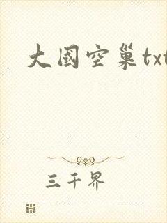 大国空巢txt