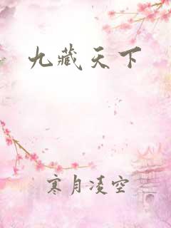 九藏天下
