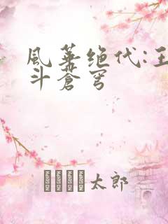 风华绝代:王妃斗苍穹