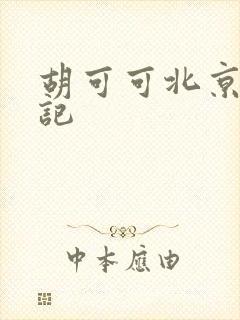 胡可可北京成功记