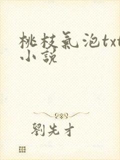 桃枝气泡txt小说