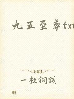 九五至尊txt