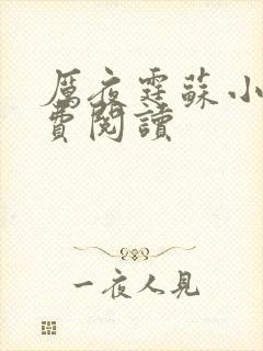 厉夜霆苏小汐免费阅读