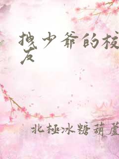 拽少爷的校花女友