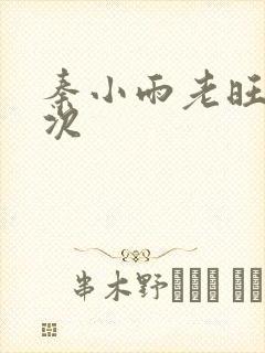 秦小雨老旺第一次