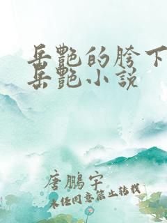 岳艳的胯下做爰岳艳小说