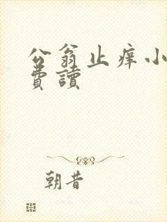 公翁止痒小说免费读