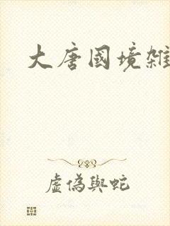 大唐国境杂货店