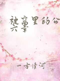 被窝里的公息十六章