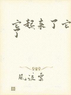 它起来了它想你了