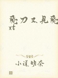 飞刀又见飞刀txt