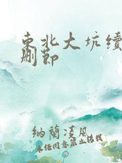 东北大坑续集未删节