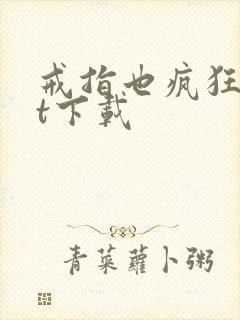 戒指也疯狂txt下载