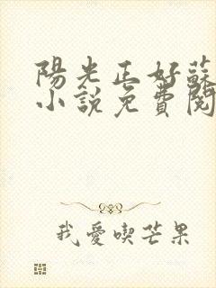 阳光正好苏玥玥小说免费阅读