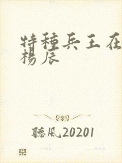 特种兵王在都市杨辰