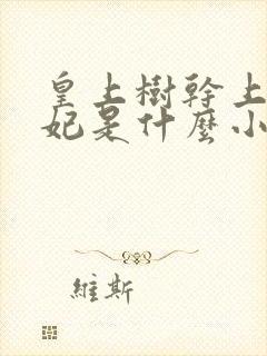 皇上树干上太子妃是什么小说