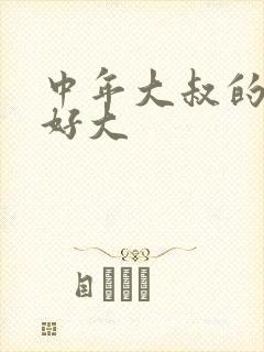 中年大叔的包包好大