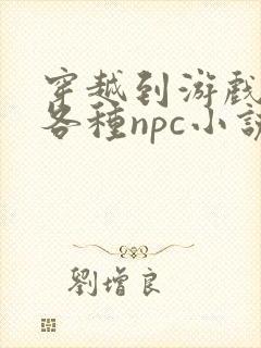 穿越到游戏里和各种npc小说