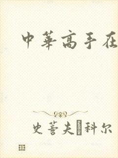 中华高手在异世