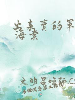 出来卖的军校生 海棠