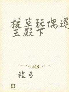 校草玩偶遵命公主殿下