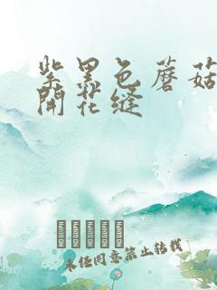 紫黑色蘑菇头顶开花缝