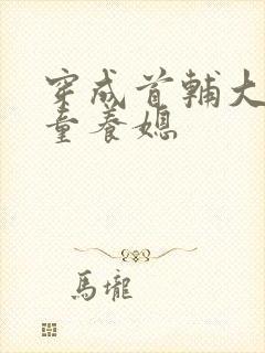 穿成首辅大人的童养媳