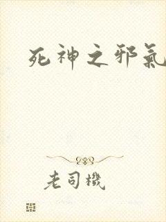 死神之邪气一护