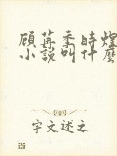 顾苒季时煜电竞小说叫什么名字