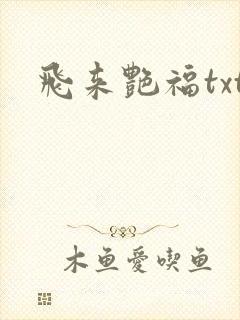 飞来艳福txt