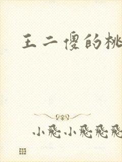王二傻的桃花运
