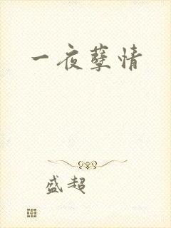 一夜孽情