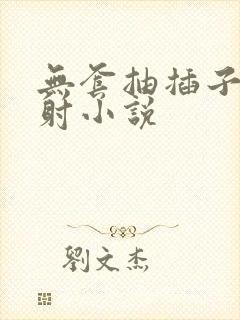 无套抽插子宫内射小说