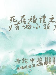 死在婚礼之前by有酒小说免费阅读