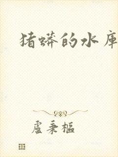 猪蟒的水库小说