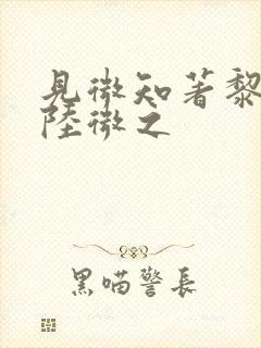 见微知著黎见卿陆微之