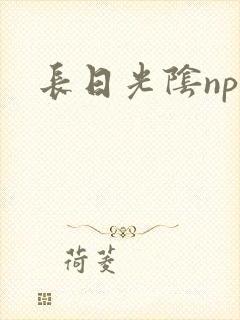 长日光阴np