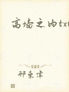 高墙之内txt