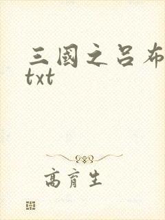 三国之吕布新传txt